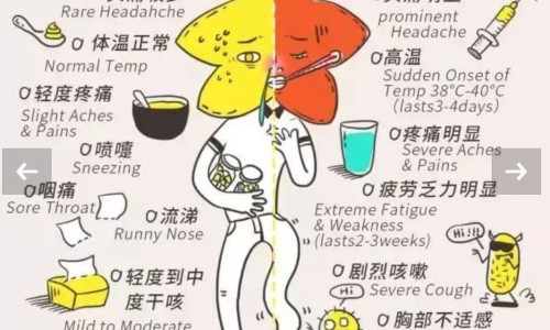 炒苍术功能主治-炒苍术的药用网 - 网站提供炒苍术功能主治小常识、炒苍术的药用价值与功效