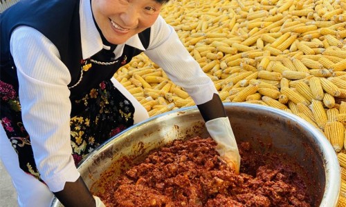 炒苍术功能主治-炒苍术的药用网 - 网站提供炒苍术功能主治小常识、炒苍术的药用价值与功效